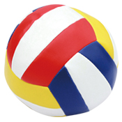 
	W5009SB 

 

	5"soft wadding volley ball,1pcs/netbag

